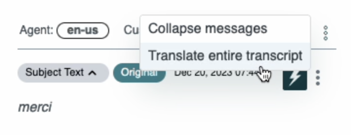 translate-transcript.png