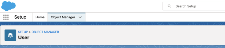 Agent_Preferred_Language_-_Admin_setup.pic_8.png