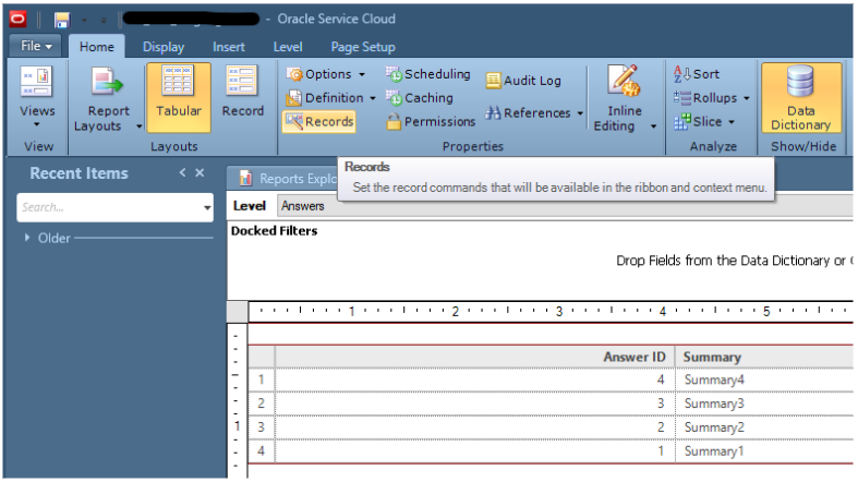 Customize_records_command_window.png